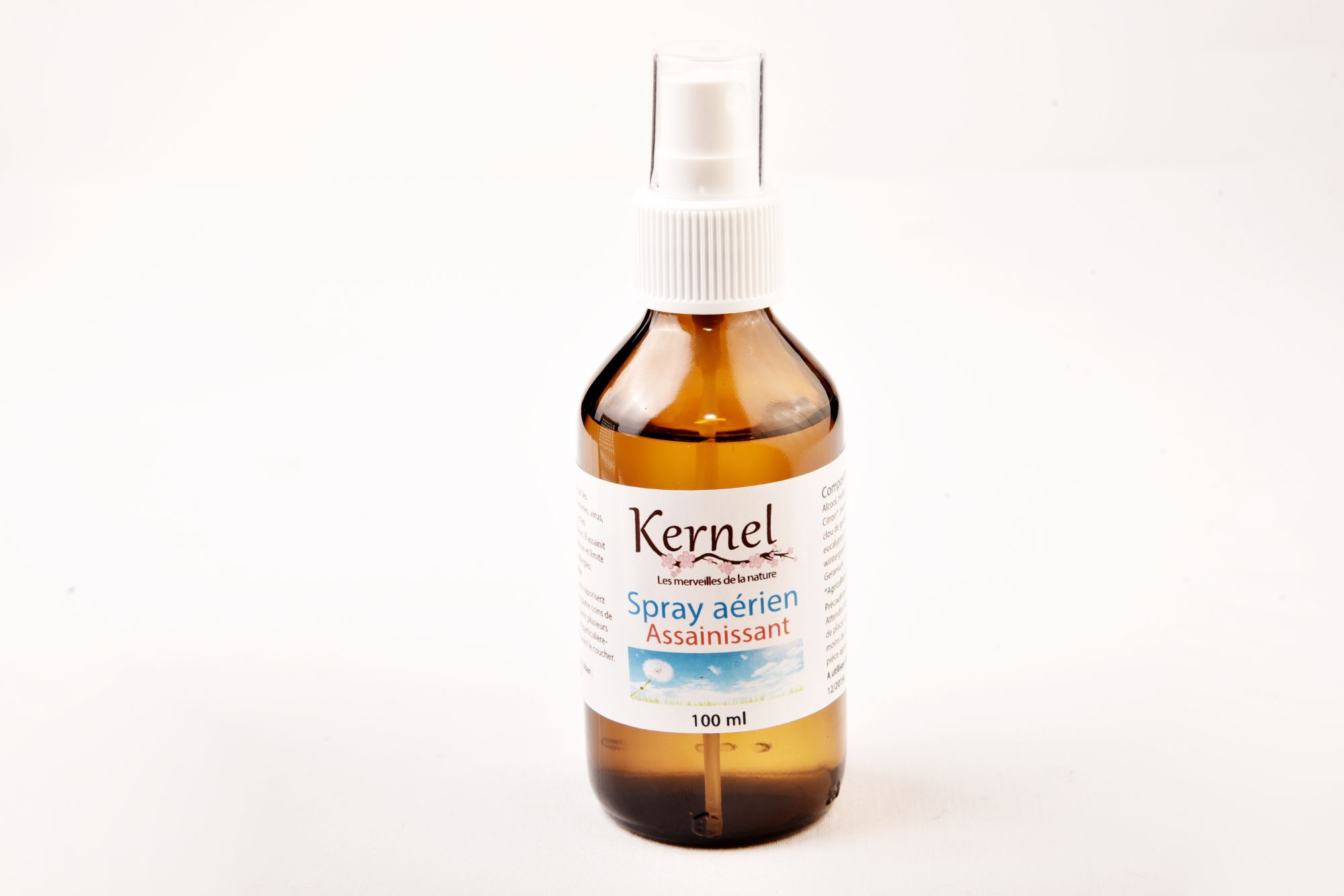 Kernel Organic Spray Assainissant 100 ml (Purifying Air Spray)